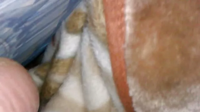 lesbianas adolescente primero bondage se la follan por el ano video casting